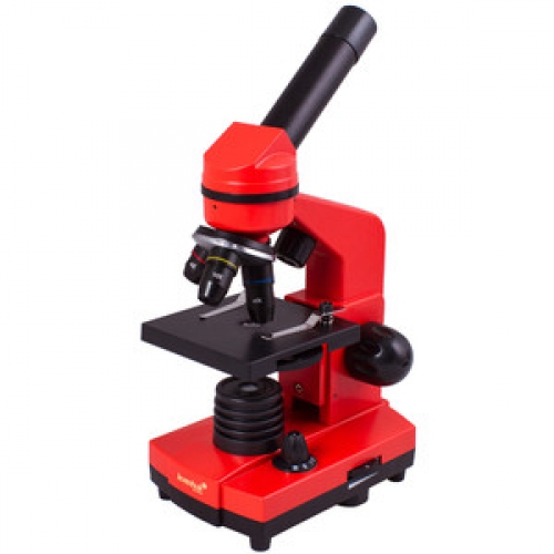 Levenhuk Microscoop Rainbow 2L Orange - 560660508