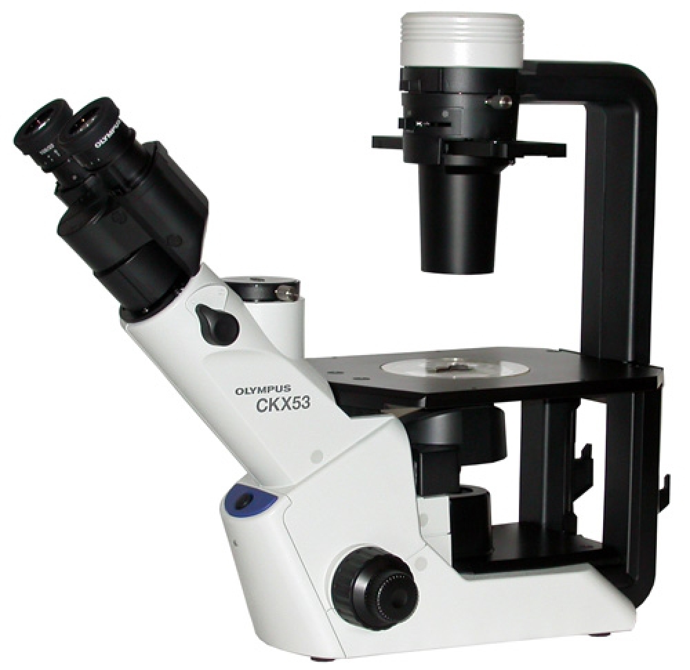 Olympus CKX53 microscope - Demandez une offre par mail !