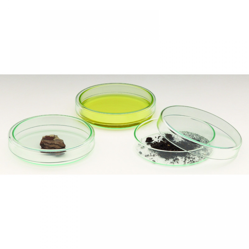 Windaus Boîte de Pétri 100 mm, verre avec couvercle - 130114638