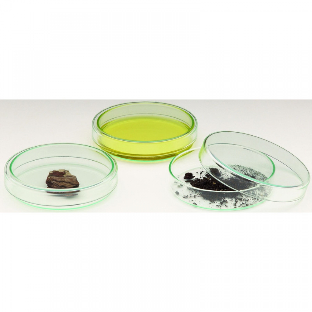 Windaus Boîtes de Pétri 60 x 15 mm, verre avec couvercle à trop-plein - 130119911